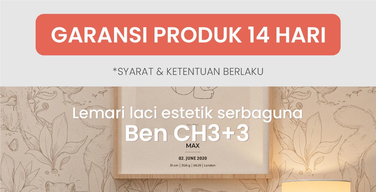 Product Description